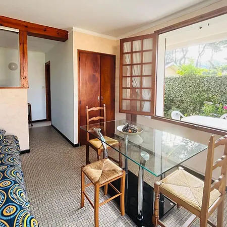 Sud A 300m Des Plages Apartment *