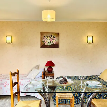 Sud A 300m Des Plages Apartment *